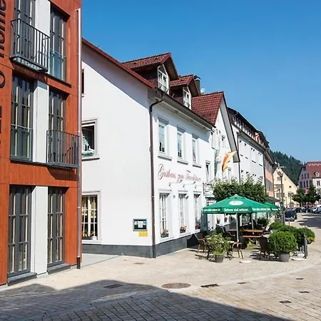 Hotelmyhome Hornberg