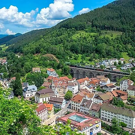 Hotelmyhome 4* Hornberg
