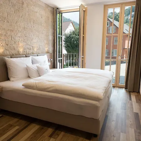 Hotelmyhome 4* הורנברג